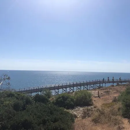 Ocean & View *